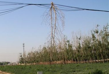 Exemples de déblaiement d'obstacles au laser